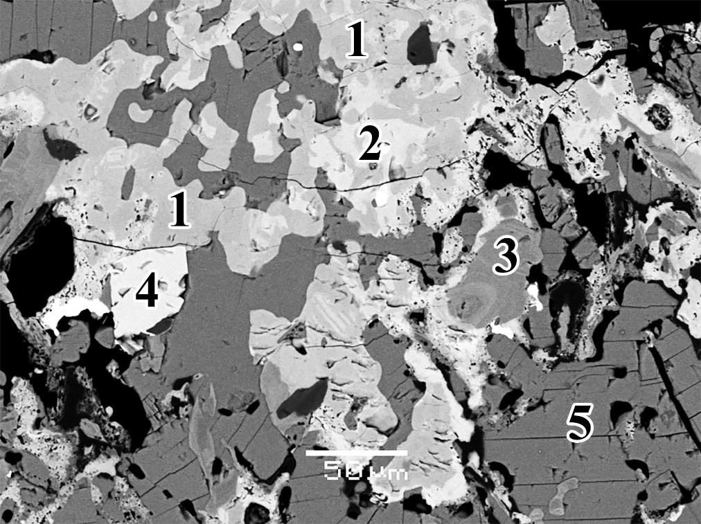 Фотография полированного шлифа, сделанная под сканирующим электронным микроскопом в режиме отраженных электронов.