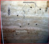 ������� ����� ��������� �������